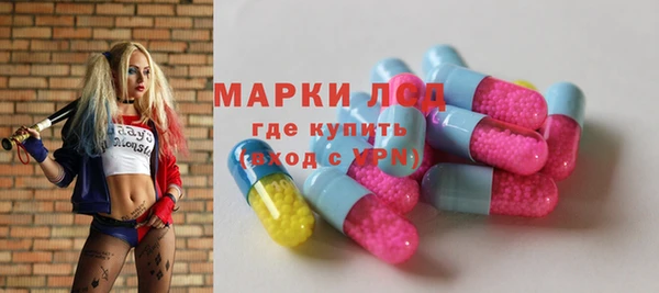 ПСИЛОЦИБИНОВЫЕ ГРИБЫ Михайлов