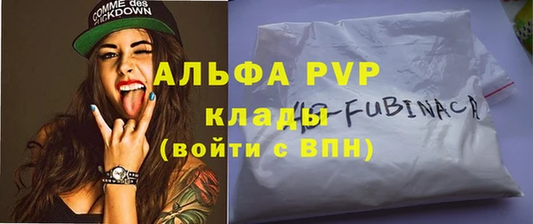 ПСИЛОЦИБИНОВЫЕ ГРИБЫ Михайлов