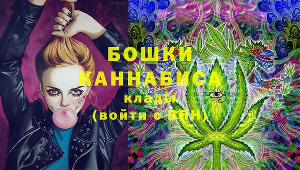 ПСИЛОЦИБИНОВЫЕ ГРИБЫ Михайлов