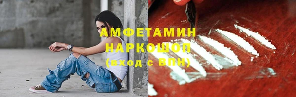 ПСИЛОЦИБИНОВЫЕ ГРИБЫ Михайлов