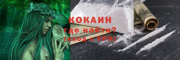 ПСИЛОЦИБИНОВЫЕ ГРИБЫ Михайлов