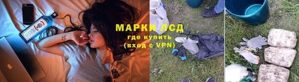 ПСИЛОЦИБИНОВЫЕ ГРИБЫ Михайлов