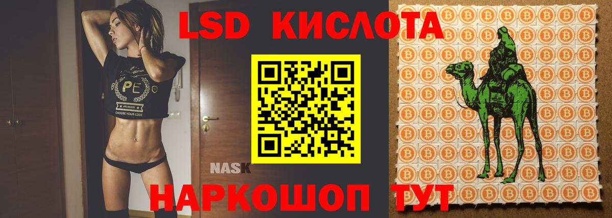 Codein Благодарный