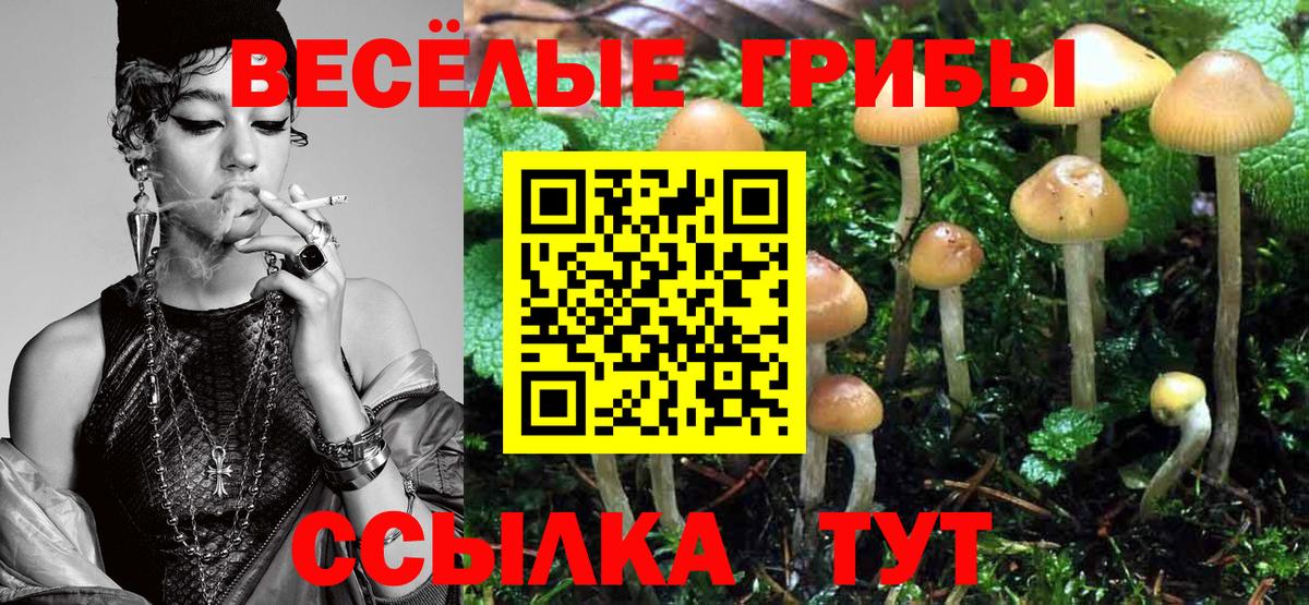 Галлюциногенные грибы ЛСД  Псилоцибиновые грибы Psilocybe  Вход с VPN  Благодарный 