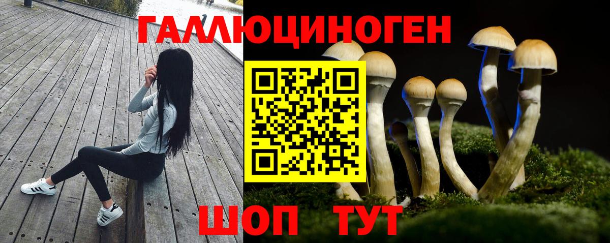 Благодарный  Каннабис  ГАШИШ  Магазин наркотиков  Вход с VPN  Меф МЯУ МЯУ  