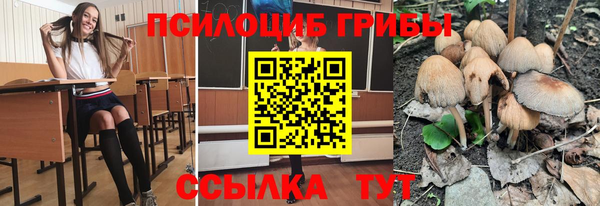 Псилоцибиновые грибы ЛСД Благодарный